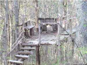98 Tatum Rd, Pendleton, KY 40055 photo 20