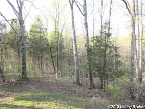 98 Tatum Rd, Pendleton, KY 40055 photo 19