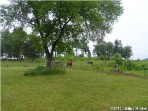 1440 S Walnut St, Upton, KY 42784 photo 22