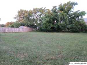 248 E Aulbern Dr, Mount Washington, KY 40047 photo 18
