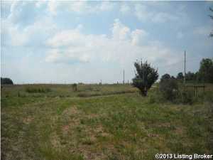 100 Goodman Ln, Constantine, KY 40140 photo 14
