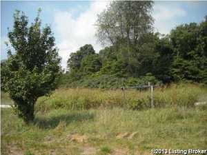 100 Goodman Ln, Constantine, KY 40140 photo 15
