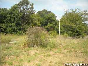 100 Goodman Ln, Constantine, KY 40140 photo 16