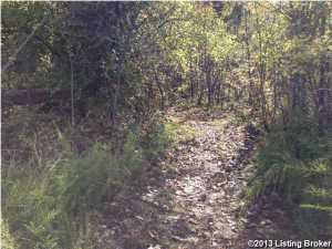 1504 Robin Ln, Cub Run, KY 42729 photo 11
