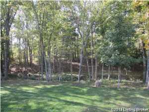 225 Chestnut St, Pendleton, KY 40055 photo 25