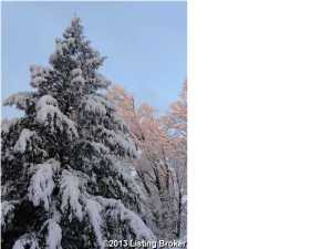 1500 Walnut Ln, Anchorage, KY 40223 photo 36