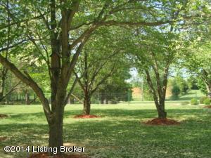 125 Buck Knobs Rd, Ekron, KY 40117 photo 32