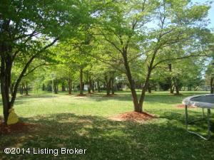 125 Buck Knobs Rd, Ekron, KY 40117 photo 22