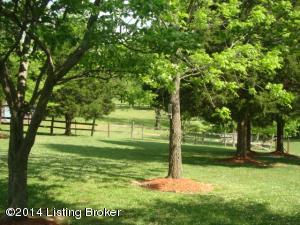 125 Buck Knobs Rd, Ekron, KY 40117 photo 20