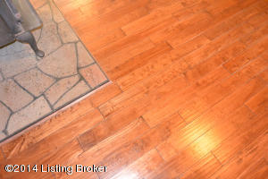 709 Fredericktown Rd, Springfield, KY 40069 photo 9