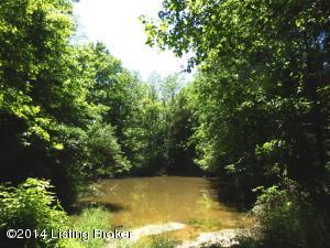 1776 Wolfpen Rd, Pendleton, KY 40055 photo 28