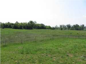 452 Lanny Heath Rd, Upton, KY 42784 photo 24