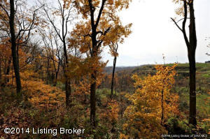 3329 Buffalo, Floyds Knobs, IN 47119 photo 6