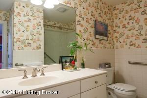 509 Country Ln, Rolling Fields, KY 40207 photo 20