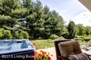 12812 Crestview Cv, Prospect, KY 40059 photo 41