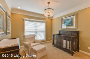 3579 Lafayette Pkwy, Floyds Knobs, IN 47119 photo 26