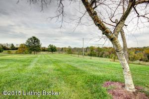 293 Clifford Ave, Pendleton, KY 40055 photo 102