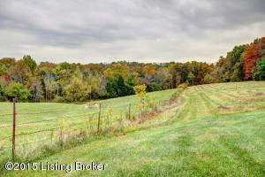 293 Clifford Ave, Pendleton, KY 40055 photo 105