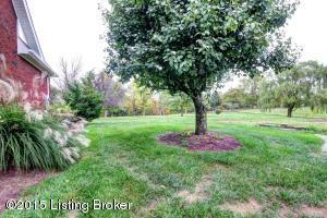 293 Clifford Ave, Pendleton, KY 40055 photo 99