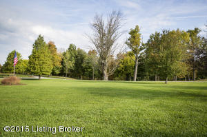 293 Clifford Ave, Pendleton, KY 40055 photo 10