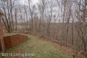 272 Braeburn Dr, Brooks, KY 40109 photo 97