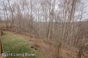 272 Braeburn Dr, Brooks, KY 40109 photo 98