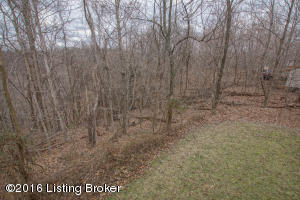 272 Braeburn Dr, Brooks, KY 40109 photo 99
