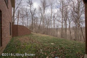 272 Braeburn Dr, Brooks, KY 40109 photo 86