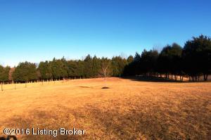 1695 Hall Simpson Rd, Loretto, KY 40037 photo 39