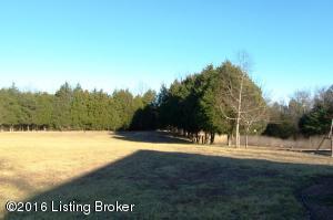 1695 Hall Simpson Rd, Loretto, KY 40037 photo 44