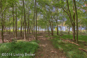 538 Eagle Point Dr, Austin, KY 42123 photo 9