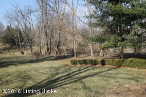 402 Duff Ln, Rolling Fields, KY 40207 photo 17