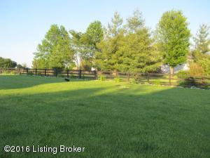 1113 Cedar Trce, La Grange, KY 40031 photo 27