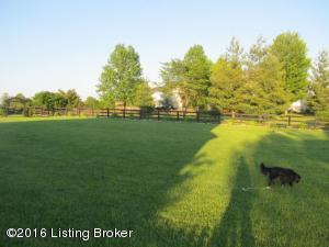 1113 Cedar Trce, La Grange, KY 40031 photo 28