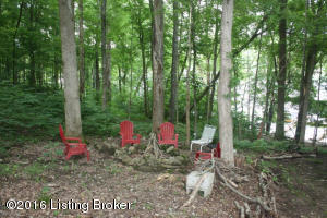 789 Penn Run Rd, Bee Spring, KY 42207 photo 28