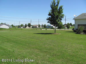 30 S Cherry Leaf Ct, Sonora, KY 42776 photo 33