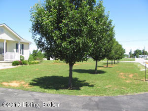 30 S Cherry Leaf Ct, Sonora, KY 42776 photo 27