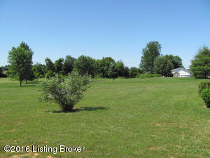 30 S Cherry Leaf Ct, Sonora, KY 42776 photo 28