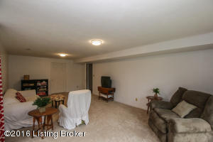 3616 Alexander Dr, La Grange, KY 40031 photo 49