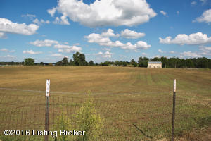 705 Weldon Loop, Upton, KY 42784 photo 55