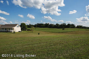 705 Weldon Loop, Upton, KY 42784 photo 59