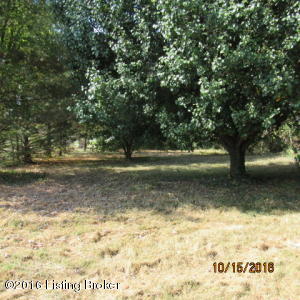 79 Karen Dr, Upton, KY 42784 photo 10