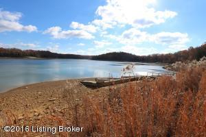 114 Reynolds Rd, Bee Spring, KY 42207 photo 44