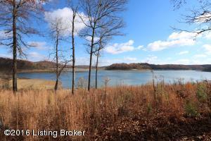114 Reynolds Rd, Bee Spring, KY 42207 photo 45