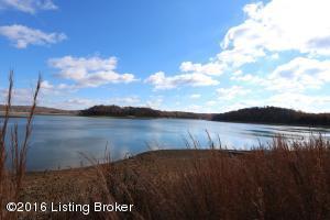 114 Reynolds Rd, Bee Spring, KY 42207 photo 41