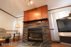 114 Reynolds Rd, Bee Spring, KY 42207 photo 22
