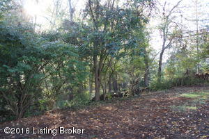 3720 Canoe Ln, Rolling Fields, KY 40207 photo 59