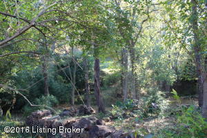 3720 Canoe Ln, Rolling Fields, KY 40207 photo 53