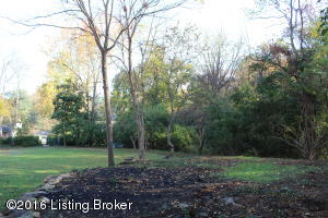 3720 Canoe Ln, Rolling Fields, KY 40207 photo 50