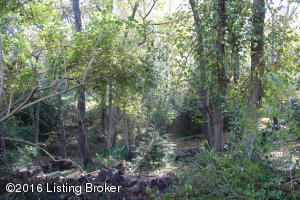 3720 Canoe Ln, Rolling Fields, KY 40207 photo 51